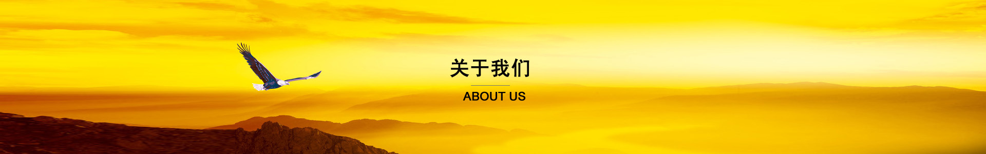 公司榮譽